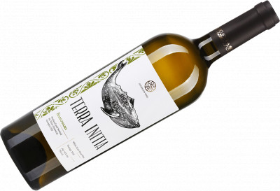 Бановані Терра Ініція, Banovani Terra Initia